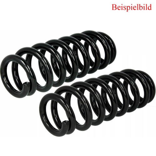 Spidan fahrwerksfeder - 2x,